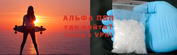 шишки Абаза