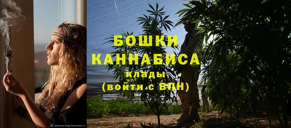 шишки Абаза
