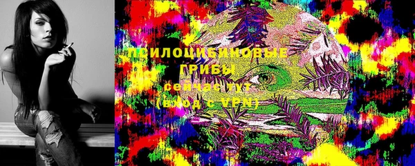 шишки Абаза