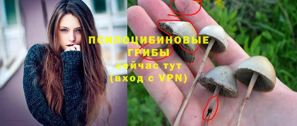 шишки Абаза