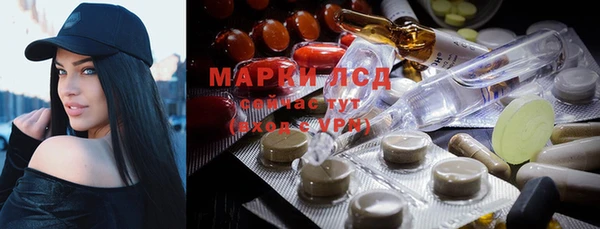 шишки Абаза