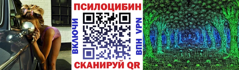 Псилоцибиновые грибы мицелий  Фрязино 